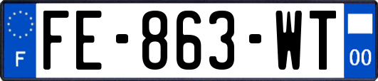 FE-863-WT