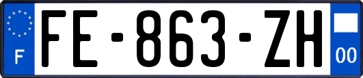 FE-863-ZH