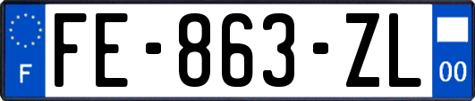 FE-863-ZL