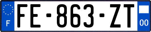 FE-863-ZT