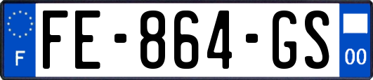 FE-864-GS