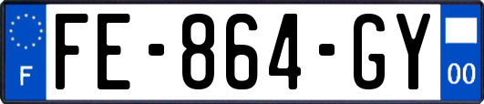 FE-864-GY