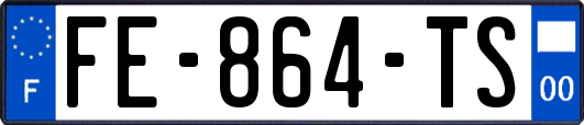 FE-864-TS