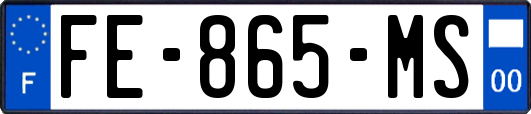 FE-865-MS