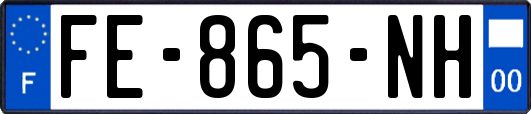 FE-865-NH