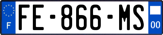FE-866-MS