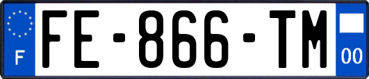 FE-866-TM