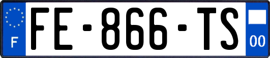 FE-866-TS