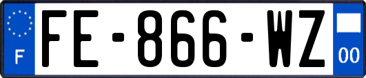 FE-866-WZ