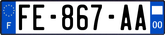 FE-867-AA