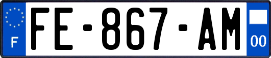 FE-867-AM