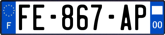 FE-867-AP
