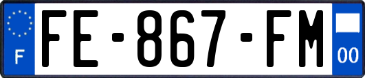 FE-867-FM