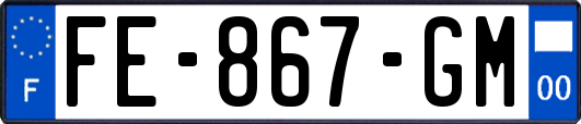 FE-867-GM