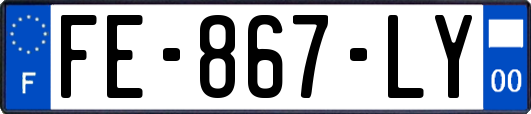 FE-867-LY