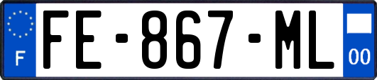 FE-867-ML