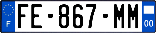 FE-867-MM