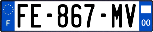 FE-867-MV