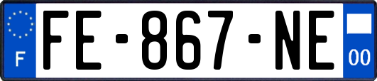 FE-867-NE