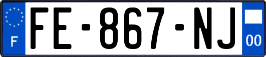 FE-867-NJ