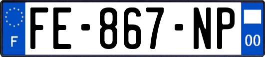 FE-867-NP