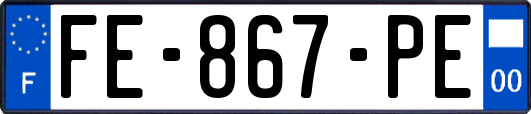FE-867-PE