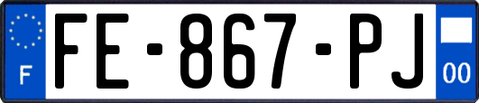 FE-867-PJ