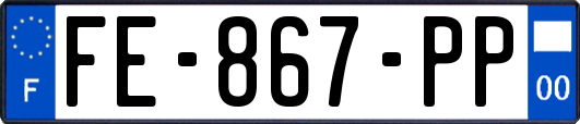 FE-867-PP