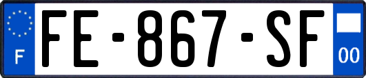 FE-867-SF