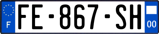 FE-867-SH