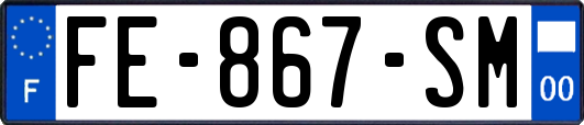 FE-867-SM