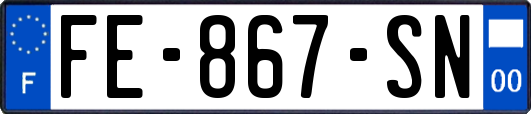 FE-867-SN