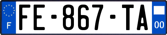 FE-867-TA