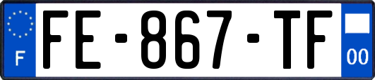 FE-867-TF
