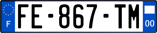 FE-867-TM