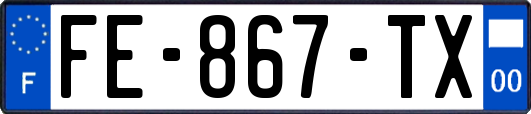 FE-867-TX