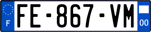 FE-867-VM