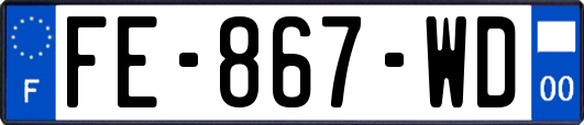 FE-867-WD