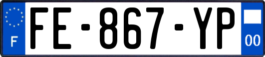 FE-867-YP