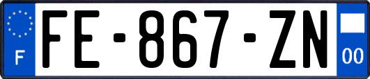 FE-867-ZN