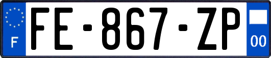 FE-867-ZP