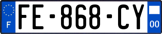 FE-868-CY