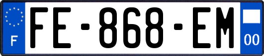 FE-868-EM