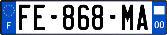 FE-868-MA