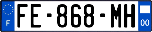 FE-868-MH