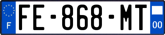 FE-868-MT