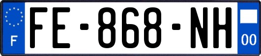FE-868-NH