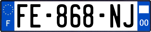 FE-868-NJ