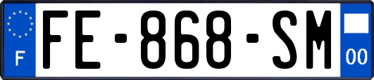 FE-868-SM