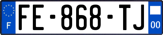 FE-868-TJ